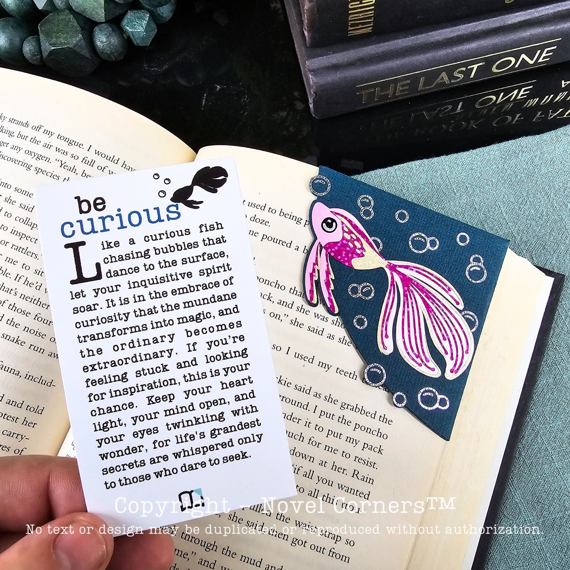 Be Curious Pink Fish Signature Bookmark + Card Gift Set