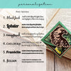 Watchful Hawk Eagle Signature Handmade Corner Bookmark