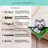 Raccoon Signature Corner Bookmark