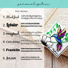 Hummingbird Deluxe Corner Bookmark