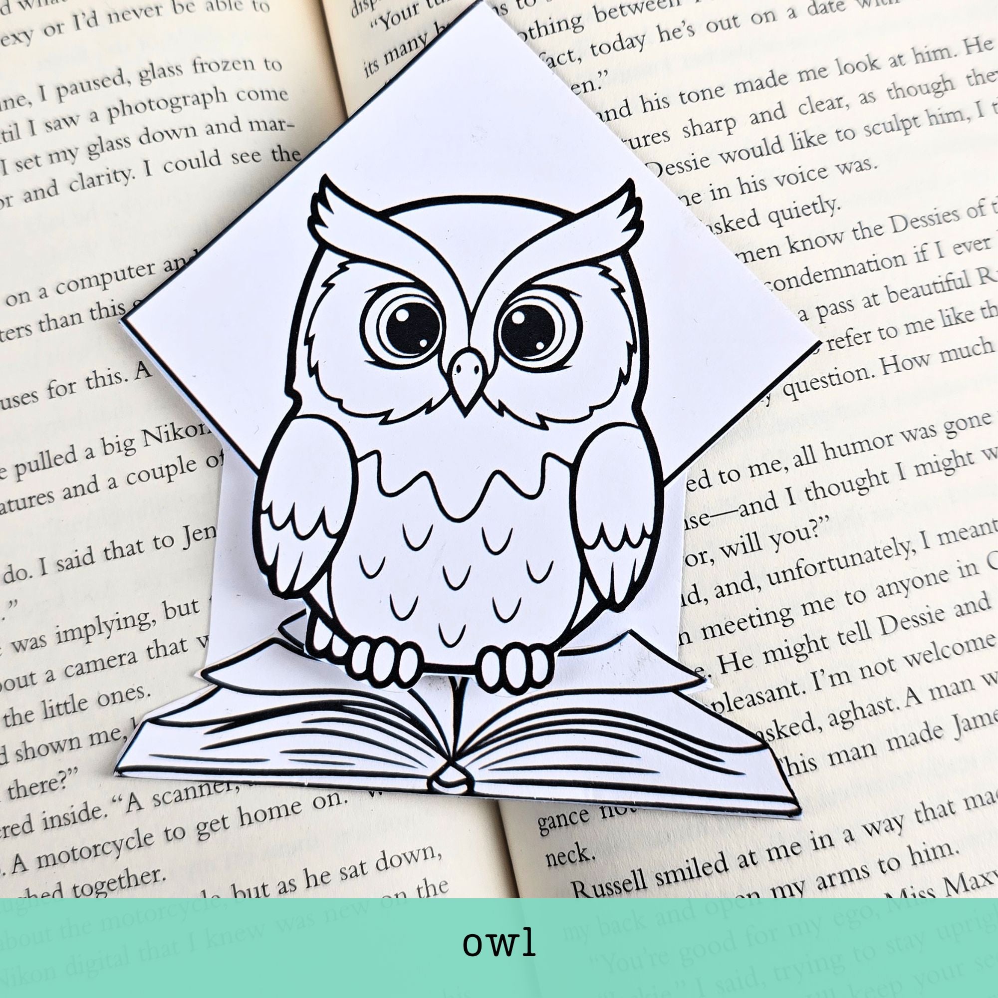 Color a Reading Buddy - 4-pack of DIY Bookmarks